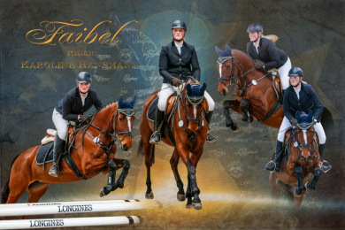 Equestfoto Pferde-Collage