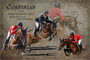 Pferde-Collage Corbinian mit Steve Gerdat